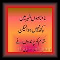 Akhtir Malik Waswsa 02 * 22.03.2008 * 287 x 691 * (19KB)